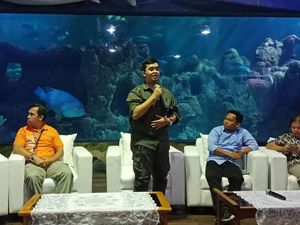 LIPI: Racun Ubur-ubur di Ancol Dikategorikan Ringan