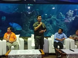 LIPI: Racun Ubur-ubur di Ancol Dikategorikan Ringan