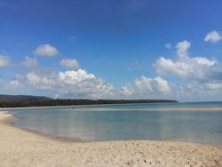 Cerita Keserakahan Tikus dan Kucing dari Sebuah Pantai di Thailand