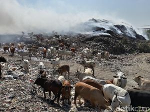 10 Jam Berkobar, Kebakaran TPA Putri Cempo Solo Akhirnya Padam