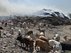 10 Jam Berkobar, Kebakaran TPA Putri Cempo Solo Akhirnya Padam