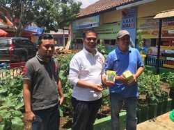 Kementan Dorong Swasembada Sayuran dari Pekarangan