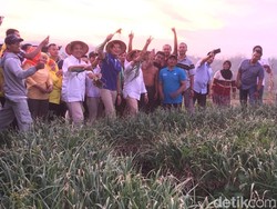Harga Jual Bawang Anjlok, Sandiaga Akan Adopsi Program di DKI