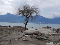 Cegah Banjir Laut, Tanggul 7 Km akan Dibangun di Sulteng