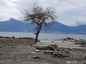 Cegah Banjir Laut, Tanggul 7 Km akan Dibangun di Sulteng Cegah Banjir Laut, Tanggul 7 Km akan Dibangun di Sulteng