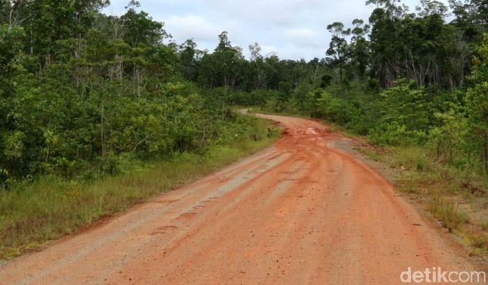 Adapun total panjang jalan Trans Papua seluruhnya mencapai 4.330 km. Danang Sugianto/detikcom.