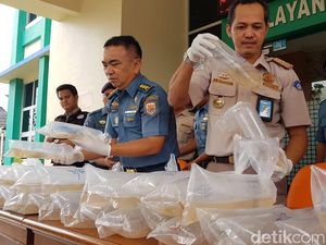 TNI AL Gagalkan Penyelundupan 10 Ribu Baby Lobster di Riau TNI AL Gagalkan Penyelundupan 10 Ribu Baby Lobster di Riau