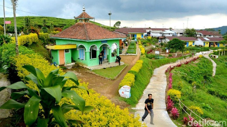 Kampung Bunga di Probolinggo (M Rofiq/detikTravel)