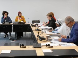 Ketua BKSAP DPR Minta Penjelasan Parlemen Myanmar Soal Rohingnya