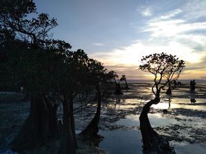 Tempat Terbaik Menikmati Senja di Sumba