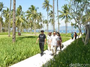 Menpar Kepincut Hotel di Banyuwangi, Seperti Apa?
