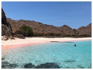 Halo Pantai Pink Labuan Bajo!