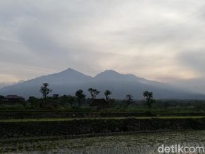 Yuk Nikmati Alam Lereng Arjuno-Welirang di Tretes Night Run 2018