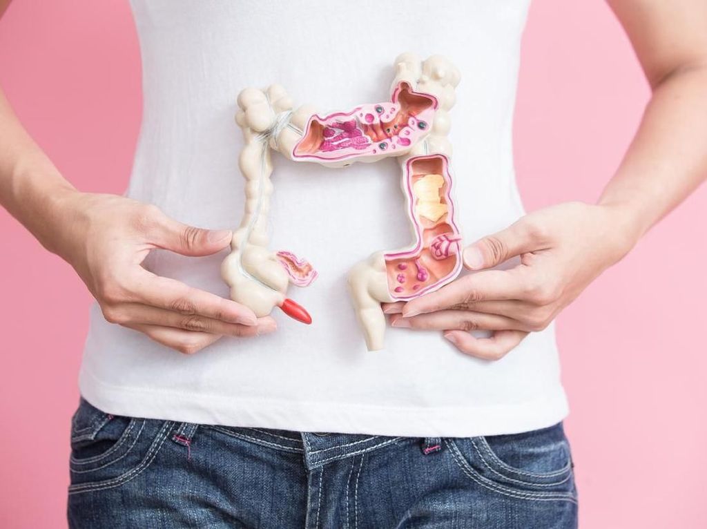 5 Fakta Diet Mikrobiom Untuk Bersihkan Usus Setelah Makan Banyak 5 Fakta Diet Mikrobiom Untuk Bersihkan Usus Setelah Makan Banyak