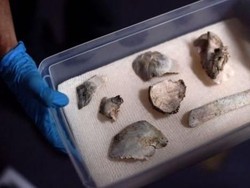 Fosil Tengkorak 12 Ribu Tahun Selamat dari Kebakaran Museum Brasil