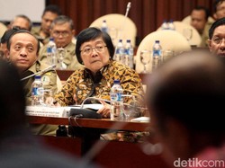 Greenomics Apresiasi Langkah Hukum KLHK Lawan Pembakar Hutan