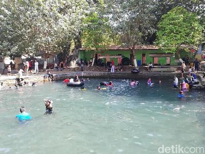 Foto: Bisa Berenang Bareng Ikan di Pasuruan