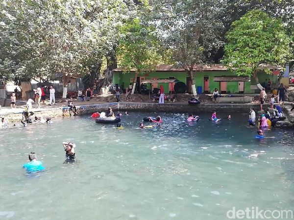 Foto: Bisa Berenang Bareng Ikan di Pasuruan