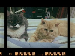 Coba Nih, Deretan Aplikasi Gratis untuk Konten ala Selebgram