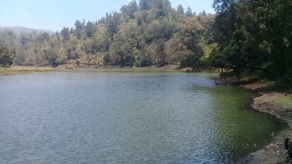 Foto: Danau Ranu Pani yang Kini Bersih