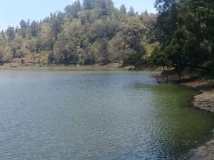 Foto: Danau Ranu Pani yang Kini Bersih