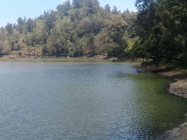 Foto: Danau Ranu Pani yang Kini Bersih