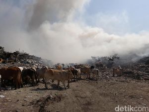 Pembakar Sampah di TPA Putri Cempo Solo Bisa Didenda Rp 500 Juta
