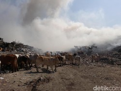 Pembakar Sampah di TPA Putri Cempo Solo Bisa Didenda Rp 500 Juta