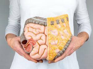 Fakta-fakta Kanker Organ Pencernaan Meningkat di Usia Muda, Waspadai Gejalanya Fakta-fakta Kanker Organ Pencernaan Meningkat di Usia Muda, Waspadai Gejalanya