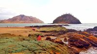 Foto: Before-After Pantai Cantik di Dompu yang Kini Memprihatinkan