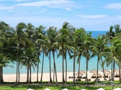 Melihat Pohon Kelapa Menari di Pantai Kepri