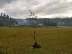 Danau Ranu Pani Kini Bersih dari Tumbuhan Salvinia