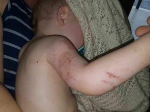 Ibu Berhasil Selamatkan Balitanya dari Lilitan Ular Piton Berukuran 4 Meter