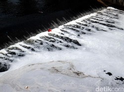 Tragis! Bus Tercebur ke Kanal di India, 37 Orang Tewas