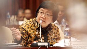 Rapat Bersama DPR, Menteri Siti Bahas soal Habitat Gajah