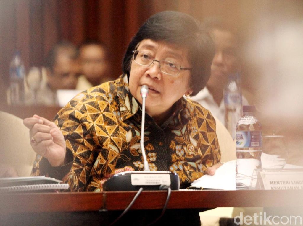 Rapat Bersama DPR, Menteri Siti Bahas soal Habitat Gajah