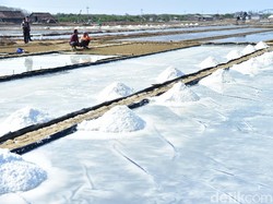 Produksi Garam di Lamongan Lampaui Target, Ini Inovasinya