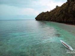 Bermain Bersama Ubur-ubur, Siapa Berani?