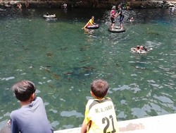 Byur! Berenang Bareng Ribuan Ikan di Pemandian Banyubiru Pasuruan