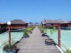 Derawan, Surganya Traveler Pecinta Laut