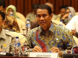 Anggaran Disetujui, Kementan Akan Genjot Ketahanan Pangan