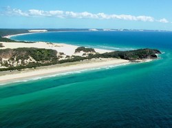 Nyeker di Pulau Fraser, Turis Ini Digigit Ular Berbisa Mematikan