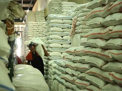 El Nino Bikin Produksi Beras RI Merosot 480 Ribu Ton di 2024