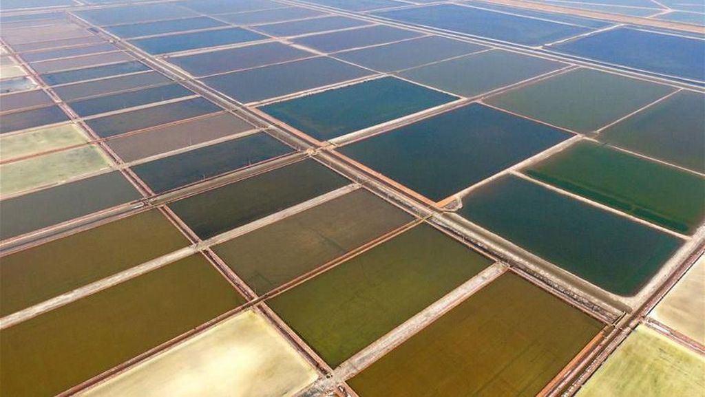 Penampakan Tambak Garam Raksasa di China Penampakan Tambak Garam Raksasa di China