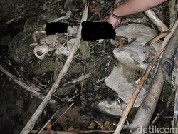 Pekerja Bangunan Temukan Belasan Kantong Kerangka Manusia di Aceh