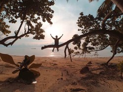 Celebrity on Vacation: Keliling Hutan Mangrove Pahawang di Lampung