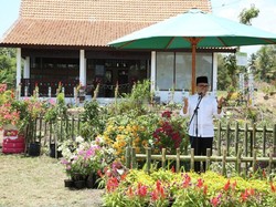Rumah Using di Banyuwangi Dibangun untuk Pusat Aktivitas Pertanian