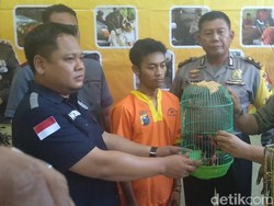 Jual Satwa Dilindungi, Warga Bojonegoro Diciduk Polisi di Lamongan