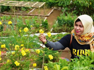 Foto: Kampung Bunga Probolinggo yang Cantik & Sejuk