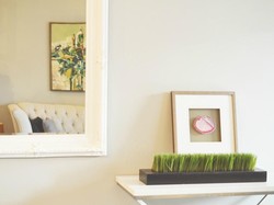 Ingin Nuansa Rumah Terasa Baru? Lihat Dulu Triknya di Sini